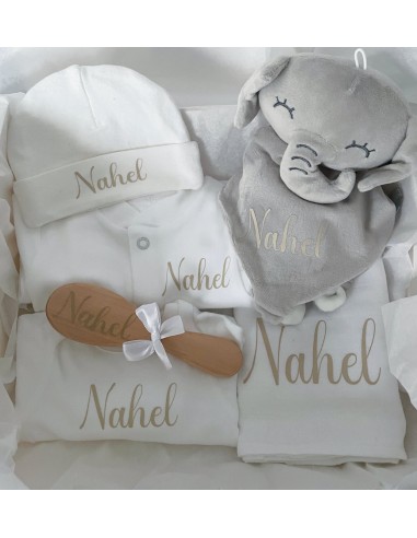 Coffret de naissance première tenue, doudou et bonnet à personnaliser la colonne vertébrale